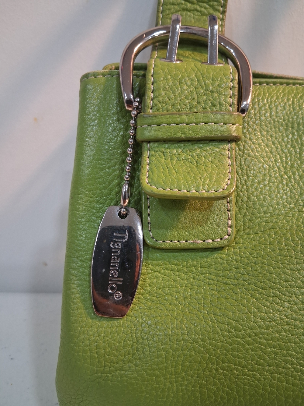 Tignanello Spring Green Leather Top Handle Handbag - Picture 2 of 9